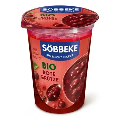 BIO - Sobremesa Frutos Vermelhos, 500g