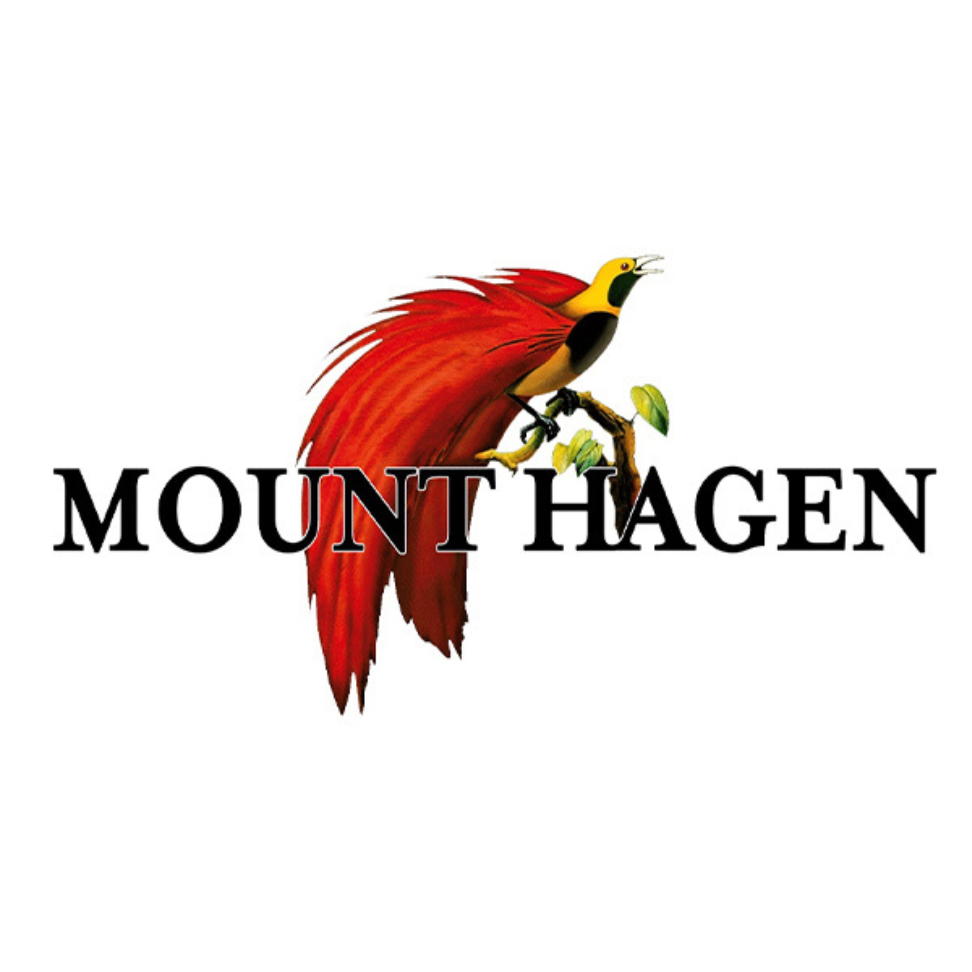 Mount Hagen